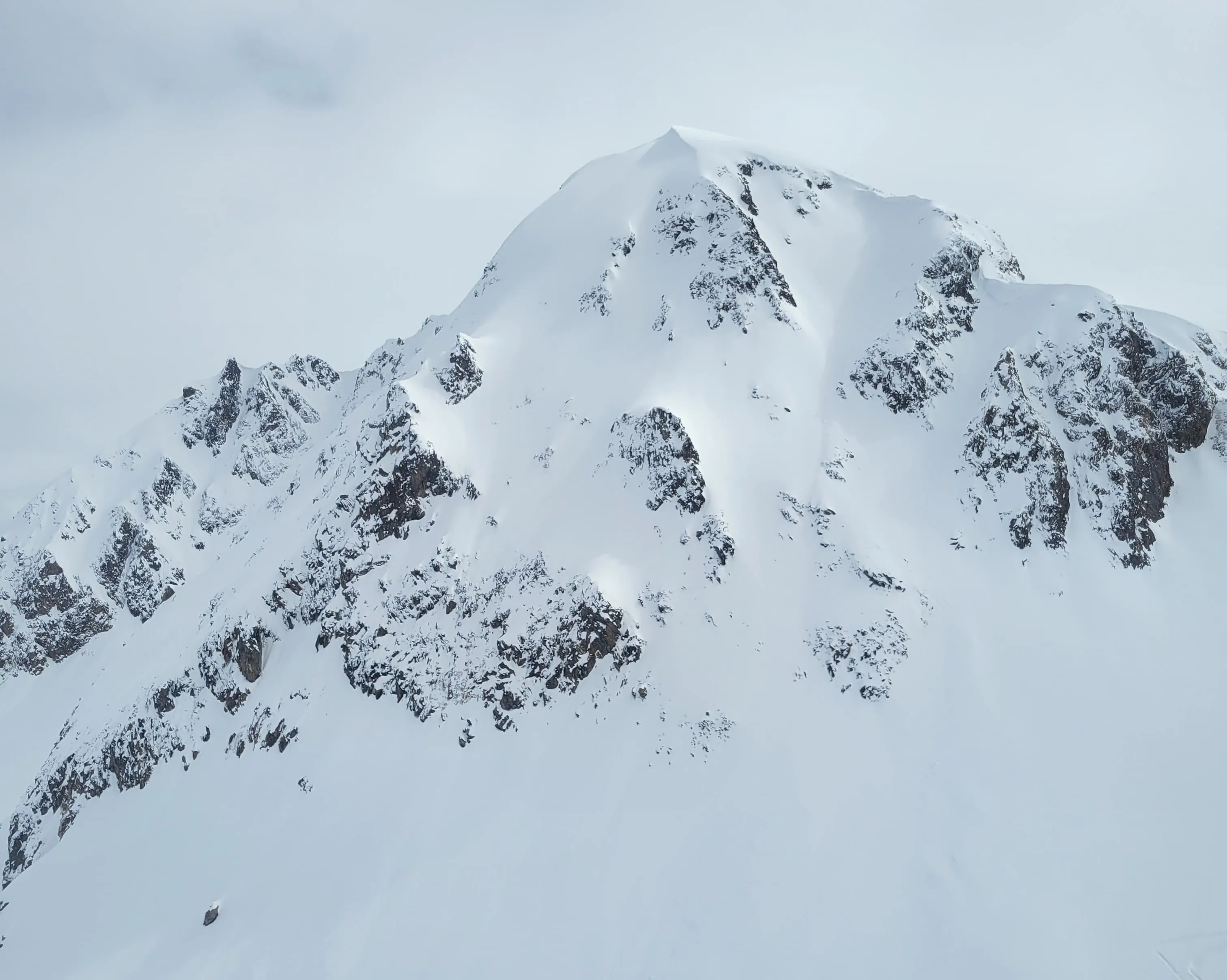 Grieshorn